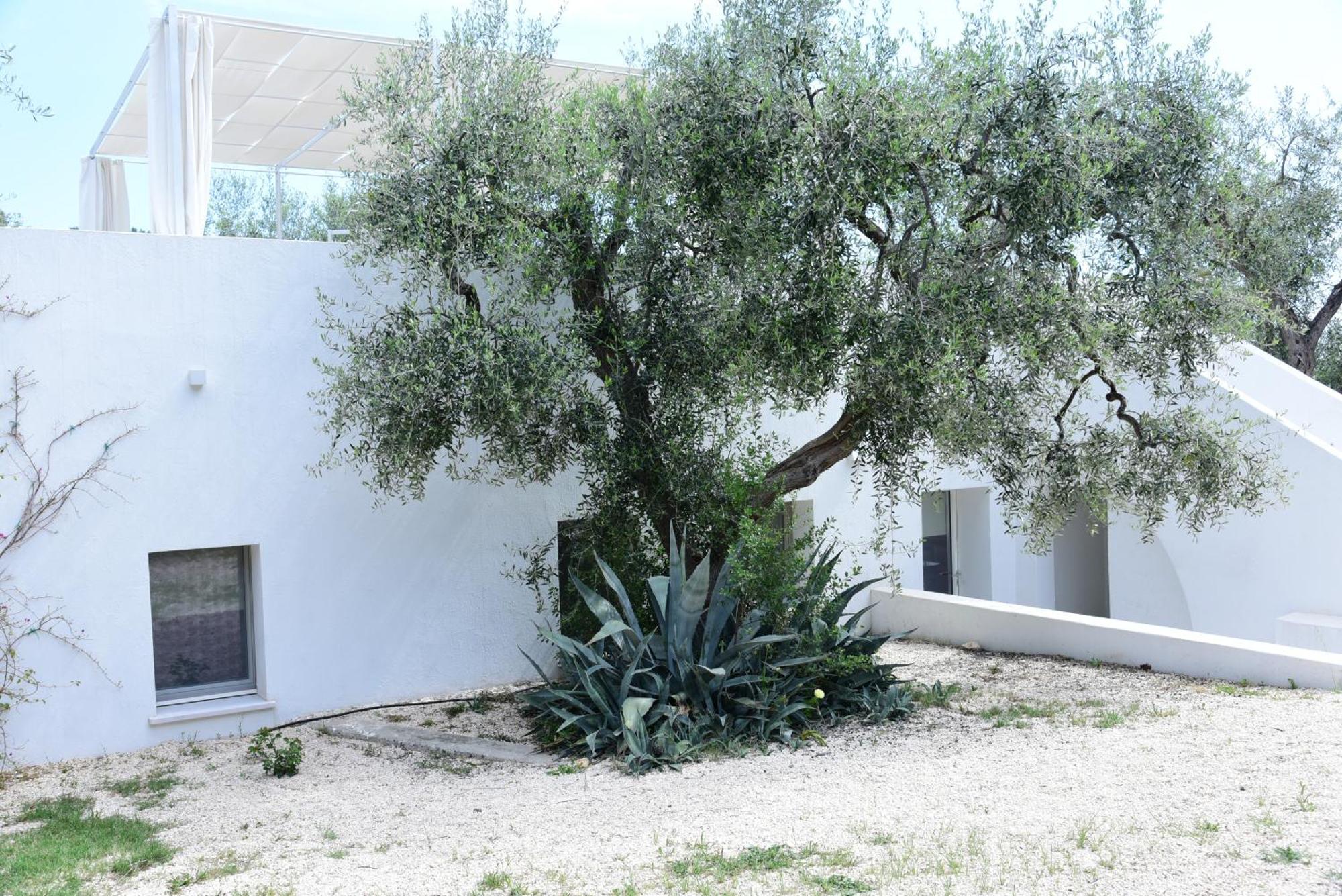 Hmo Glamping & Suites In Vignanotica Mattinata Rom bilde