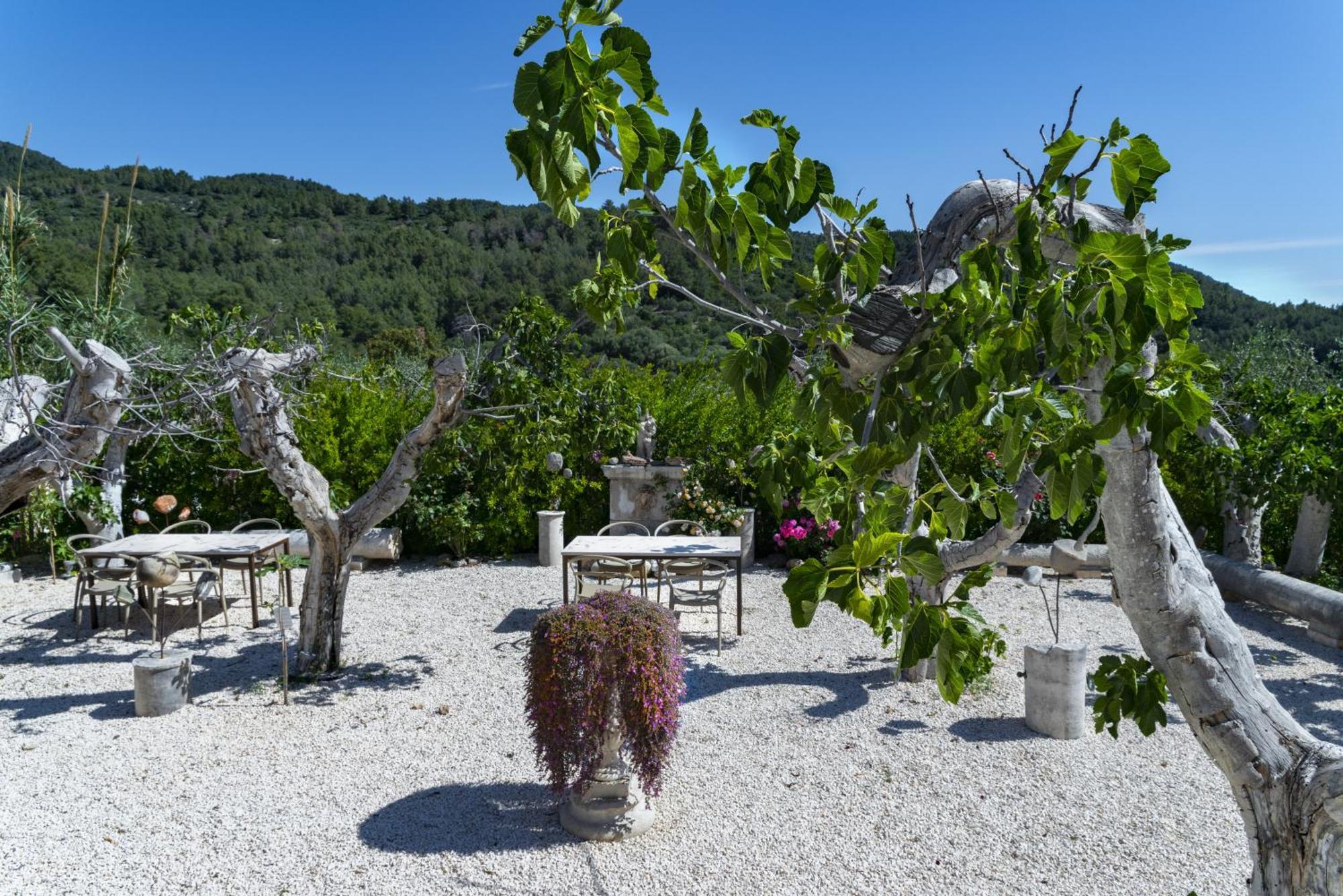 Hmo Glamping & Suites In Vignanotica Mattinata Eksteriør bilde